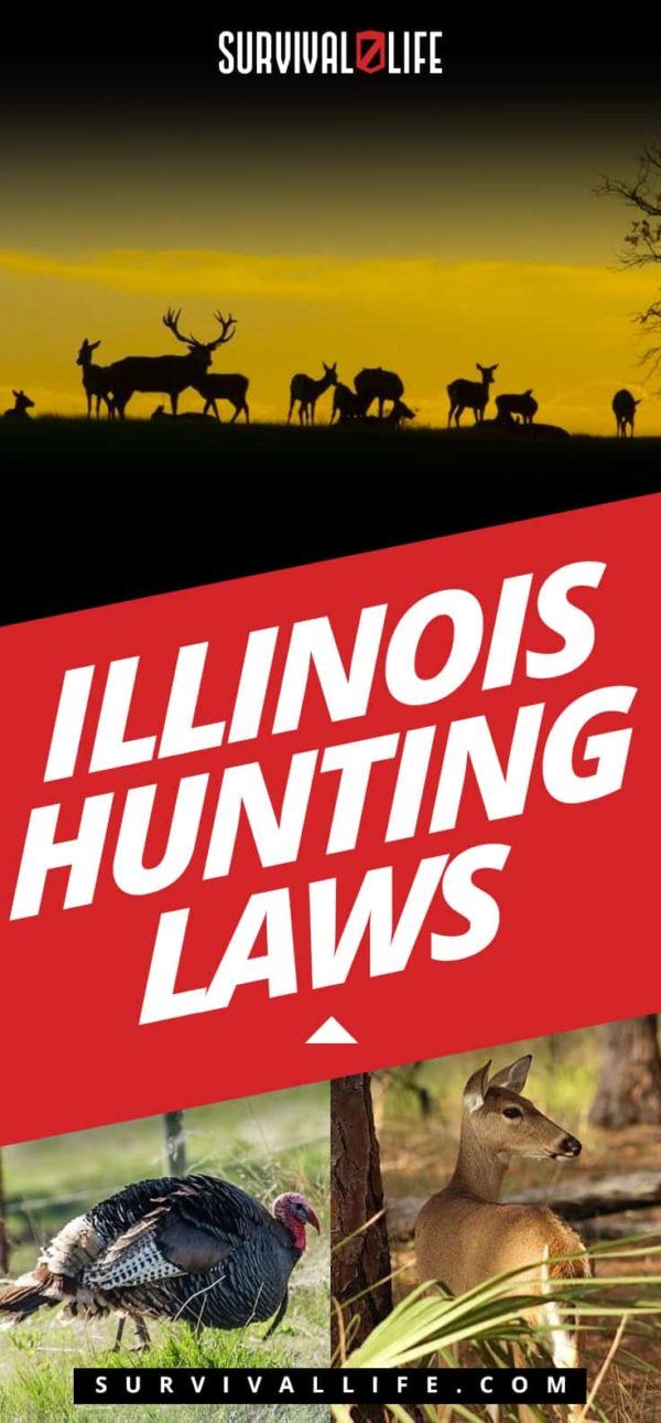 Illinois Hunting Laws American Gun Association