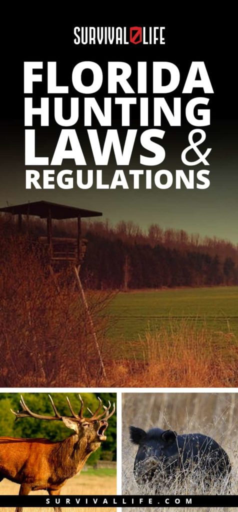 Florida Hunting Laws And Regulations - American Gun Association