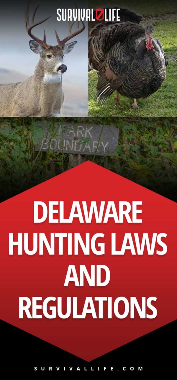 All You Need To Know About Delaware Hunting American Gun Association