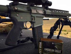 Feature | Ammo Review: Federal American Eagle .223 FMJ | Federal American Eagle .223