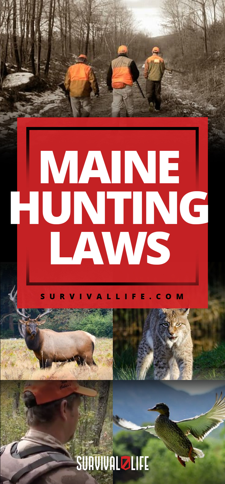 Maine Hunting Laws 2024 American Gun Association