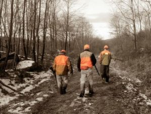 Maine Hunting Laws feature