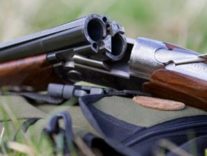 hunting shotgun featured image