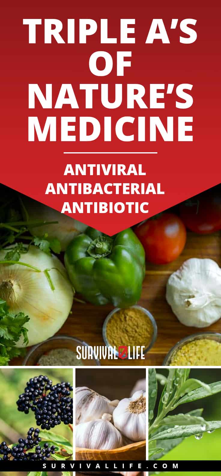 Triple A’s Of Nature’s Medicine Antiviral Antibacterial Antibiotic