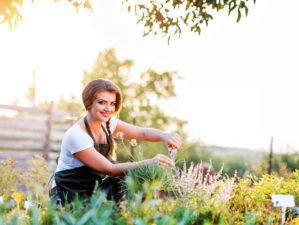 Young gardener cutting little flower plant, green sunny nature | Outdoor Herb Garden | A Beginner’s Guide To Survival Gardening | Featured