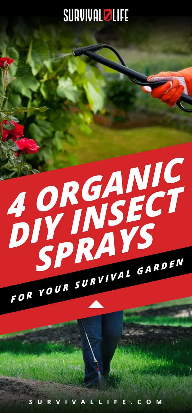 4 Organic DIY Insect Sprays For Your Survival Garden