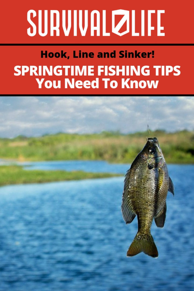 Hook, Line And Sinker! Springtime Fishing Tips You Need To Know