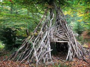 Teepee Survival Shelter | 3 Survival Shelters You Can Quickly Craft From Tree Branches