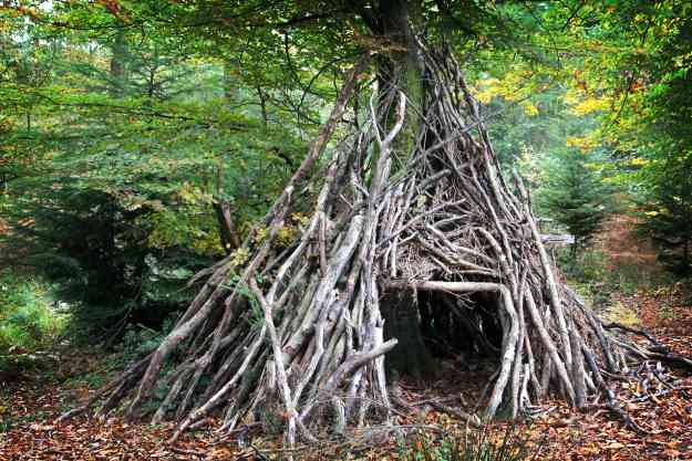 Teepee Survival Shelter | 3 Survival Shelters You Can Quickly Craft From Tree Branches
