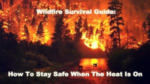 Tips To Keep You Safe Wildfire Survival Feature