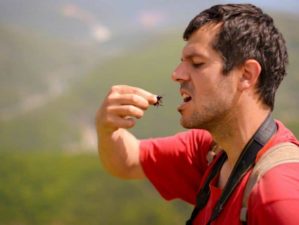 Feature | Man eating bug, survival in nature | Edible Insects You Can Consume When Stuck In The Wild