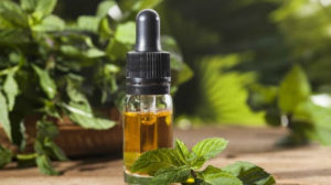 peppermint oil feature