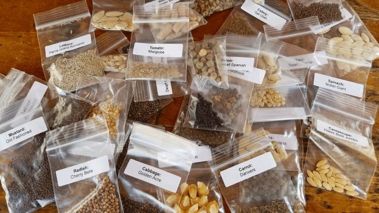 Heirloom Seeds: Are They Part Of Your Preparedness Plan?