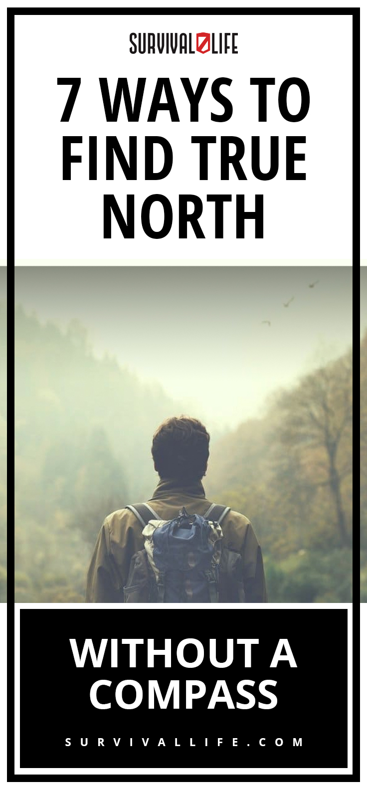 Ways To Find True North Without A Compass | https://survivallife.com/true-north-without-compass/
