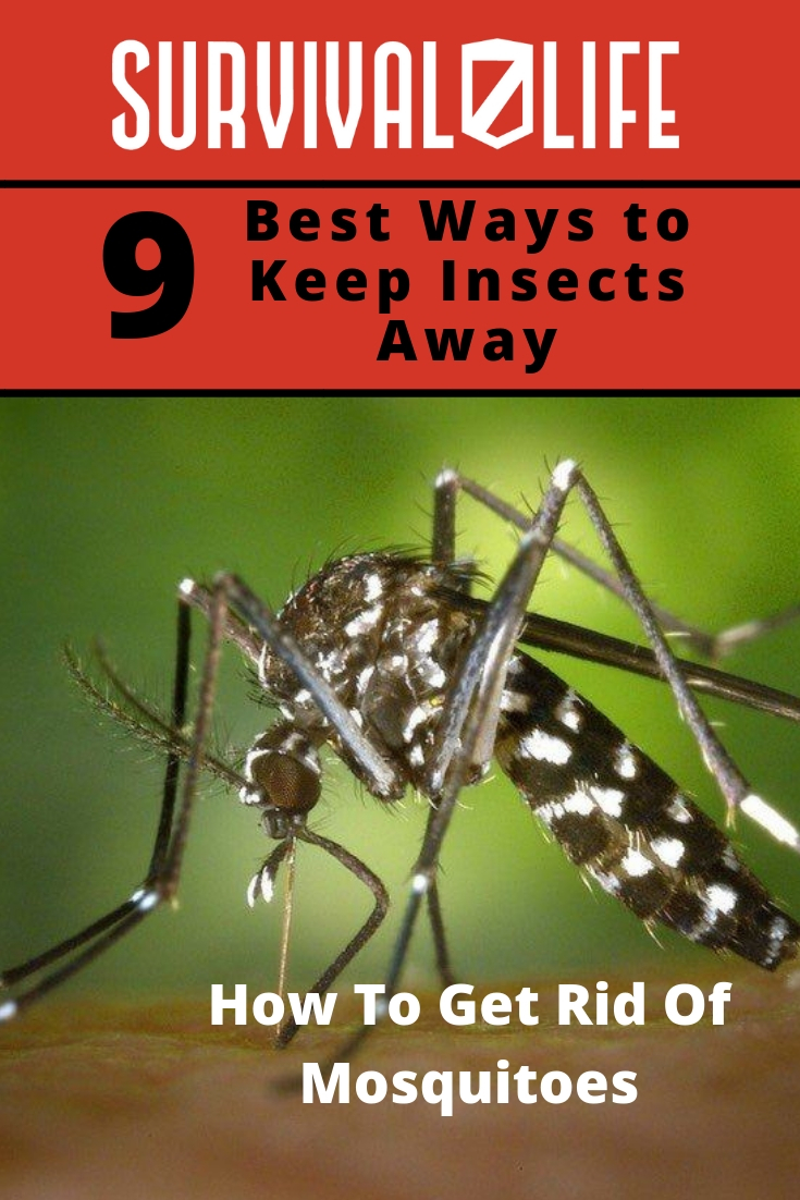 How To Get Rid Of Mosquitoes | Best Ways To Keep Insects Away | https://survivallife.com/get-rid-mosquitoes/
