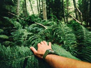 Feature | Close up of explorer male hand in green rainy forest | Conquering The Cornerstones: Self-Defense - The 4th Pillar of Survival