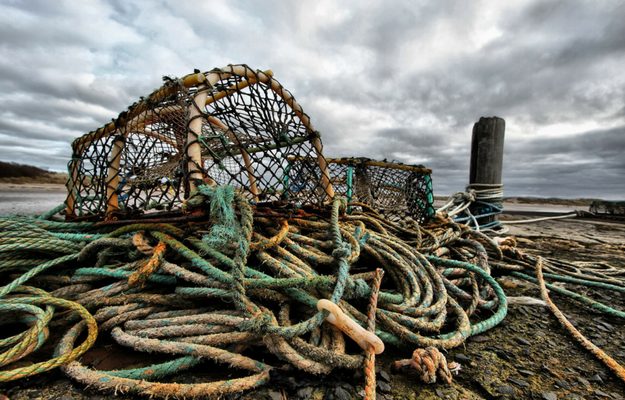 Barragens e Armadilhas | Como Pegar Um Peixe Sem uma vara de Pescar | Caseiro de Sobrevivência, Kit de Pesca