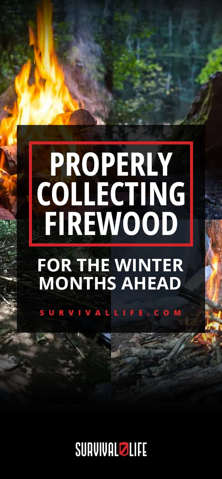 Collecting Firewood | Properly Collecting Firewood For The Winter Months Ahead