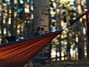 Feature | Hanging hammok in the middle of the forest | How To Make A Hammock In The Rainforest And Elsewhere