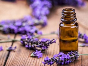 Feature | Herbal oil and lavender flowers on wooden background | Lavender Oil Survival Uses