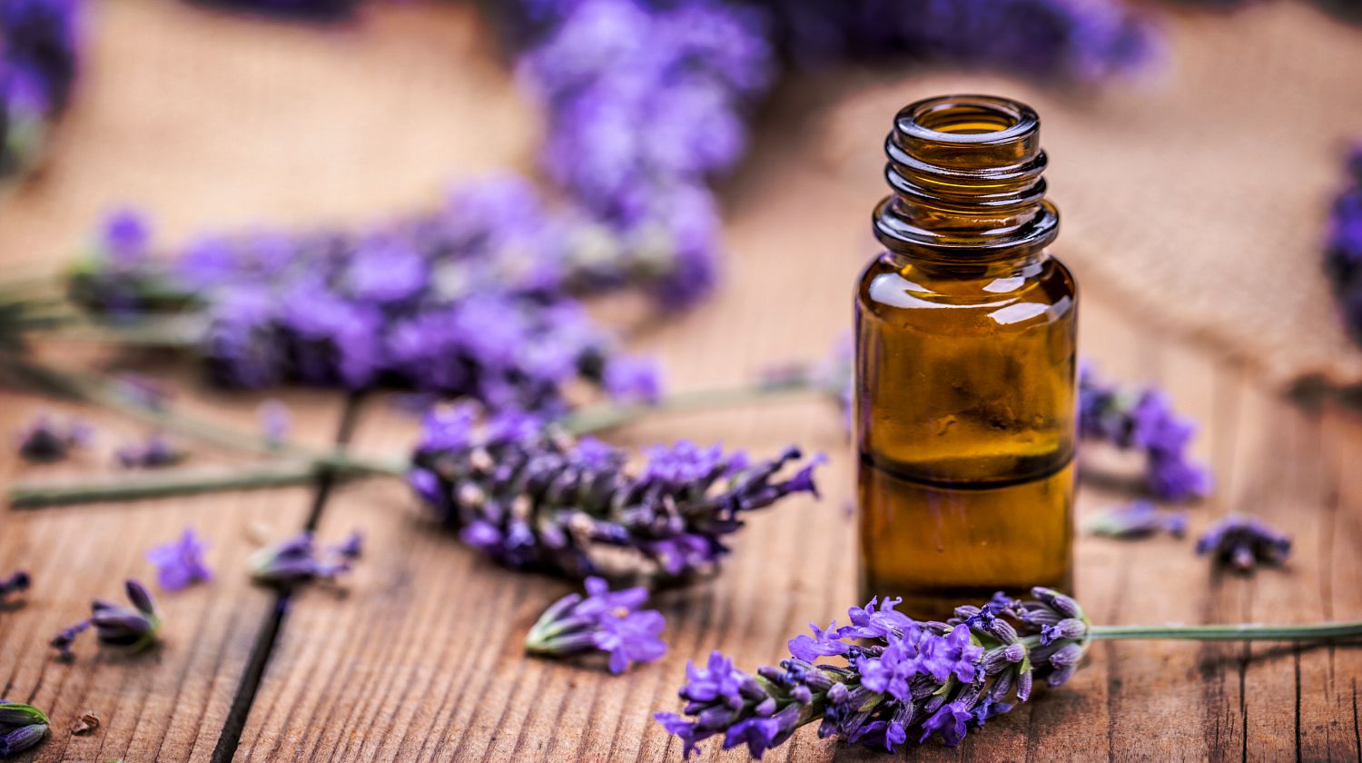 Feature | Herbal oil and lavender flowers on wooden background | Lavender Oil Survival Uses