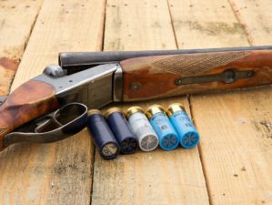 Feature | Double shotgun and ammo | Shotgun Ammo For Home Defense | Buckshot vs Birdshot