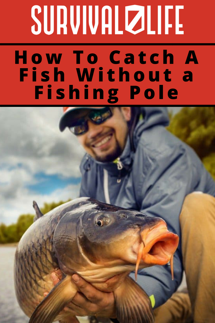 pancartă / Cum de a prinde un pește fără un pol de pescuit / Kit de pescuit de supraviețuire de casă