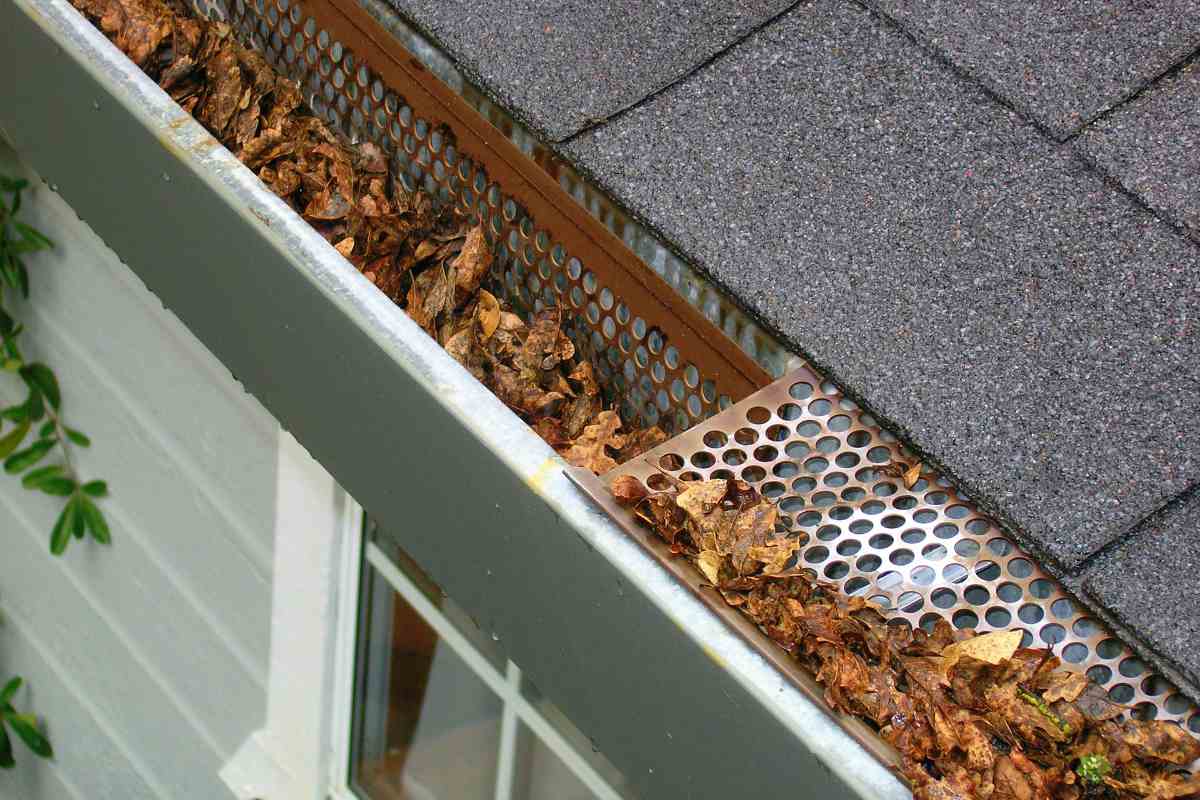 Autumn leaves from gutter | Flood Survival Tips | How To Survive Before, During, And After A Flood