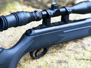 Feature | Pneumatic air rifle with optical sight | Air Guns: Are They The Best Survival Weapons?