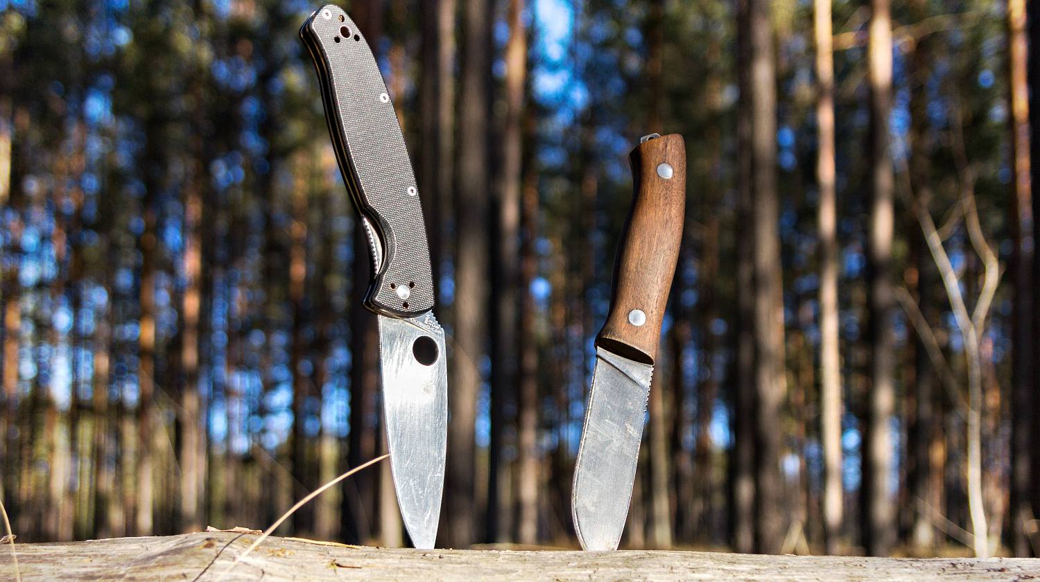 Featured | Two hunting knives inserted in wood | Breakthrough: How To Sharpen A Knife Without A Sharpener