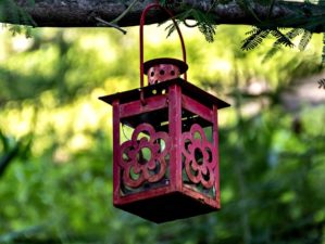 Feature | Lantern hanging in the tree | How To Make An Improvised Camping Lantern