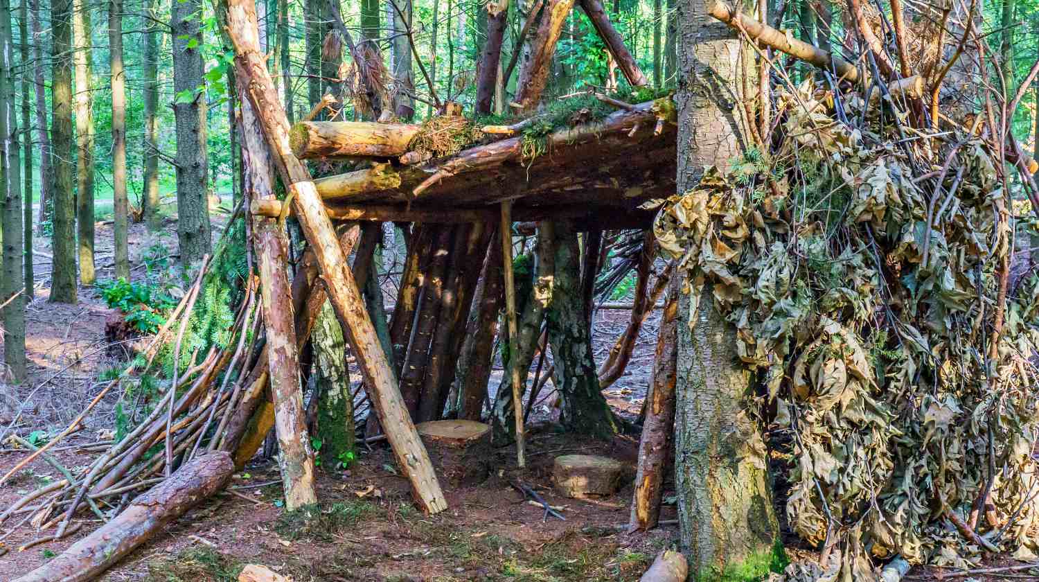 Featured | Self build tree hut of branches and leaves with seats | How To Build A Wickiup Survival Shelter