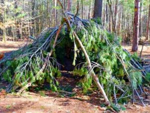 Feature | Survival Shelter | How to Build A Spider Shelter | A Survival Life Guide