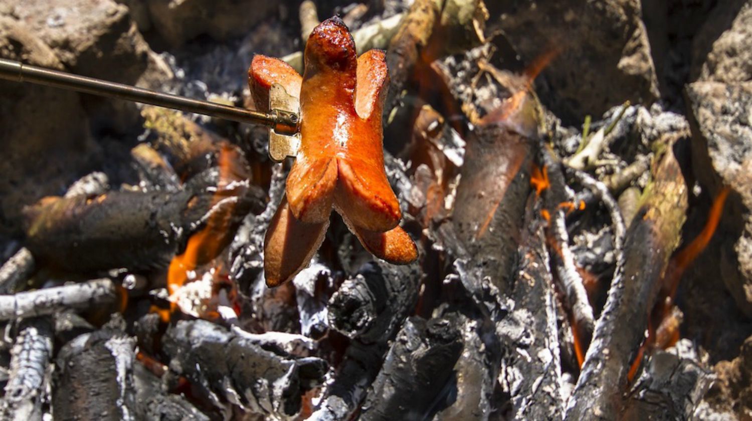 Feature | Grill hotdog in campfire | Savory Campfire Recipes For Delicious Meals Outdoors