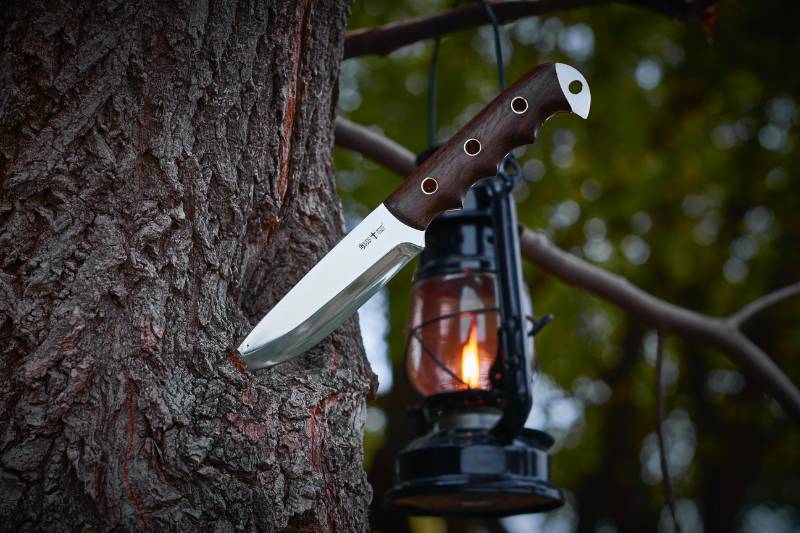combat knife on tree trunk | Hawaii Knife Laws