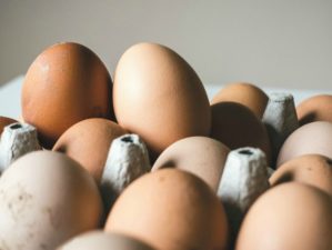 Feature | Egg Trays | How Do You Know If Eggs Are Fresh