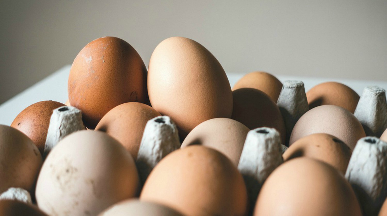 Feature | Egg Trays | How Do You Know If Eggs Are Fresh