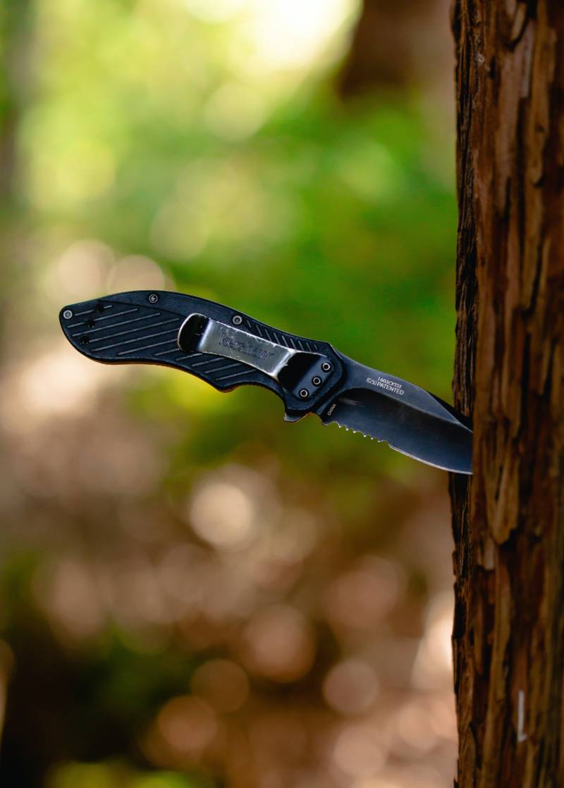 black pocket knife stick in tree trunk | North Carolina Knife Laws