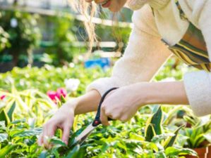 Feature | Woman Gardening | Gardening Tips and Tricks You Can Use Right Now!
