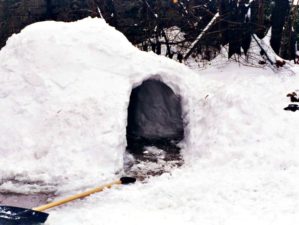 Feature | Igloo snow cave | Snow Survival Shelter