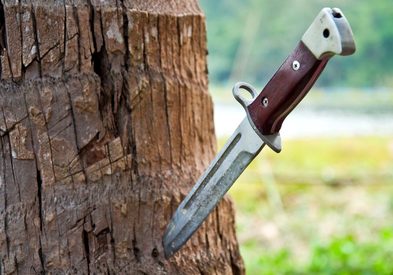 knife hiking on tree | folding knives for self defense