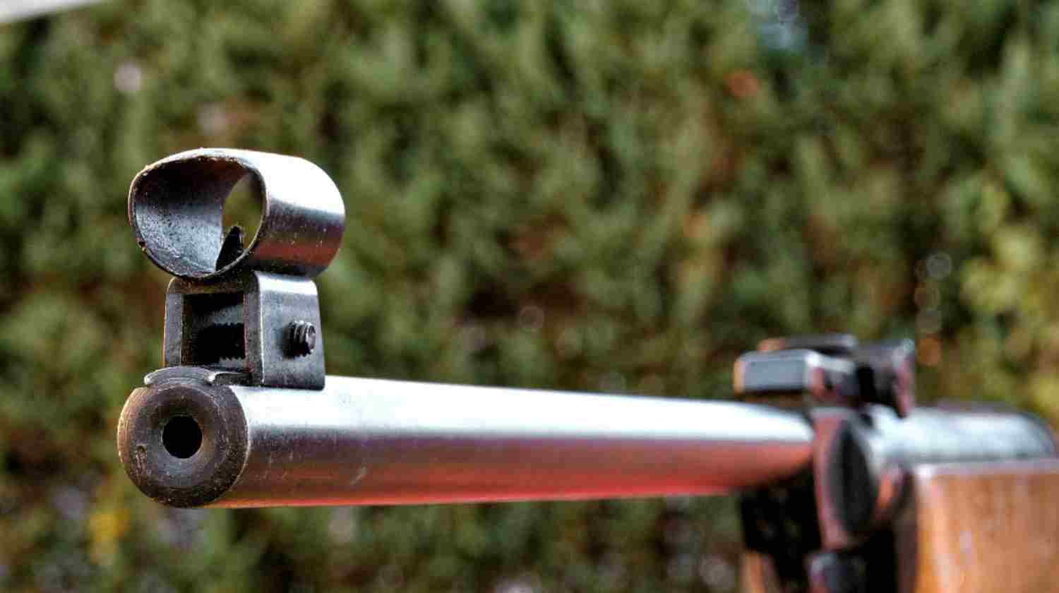 Feature | Pointing Rifle | Tips for Gun Sights | Co-Witnessing Your Sights