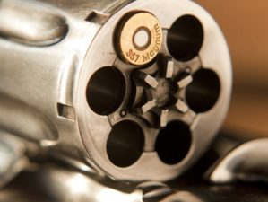 357-magnum-revolver | EAA Windicator .357 Magnum | Gun Carrier Reviews | Featured