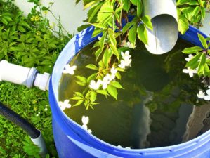 Drain for rain water in a plastic barrel in a country house | The Do's And Don'ts Of Building Your First Rain Barrel | Featured