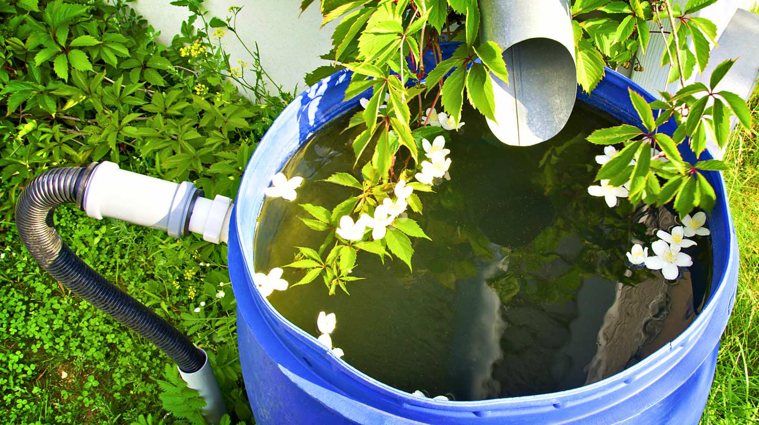Drain for rain water in a plastic barrel in a country house | The Do's And Don'ts Of Building Your First Rain Barrel | Featured