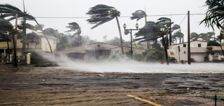 How To Survive A Hurricane - Survival Life