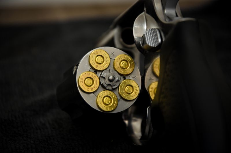 rt-605-357-magnum-brazilian-revolver Survival Revolver