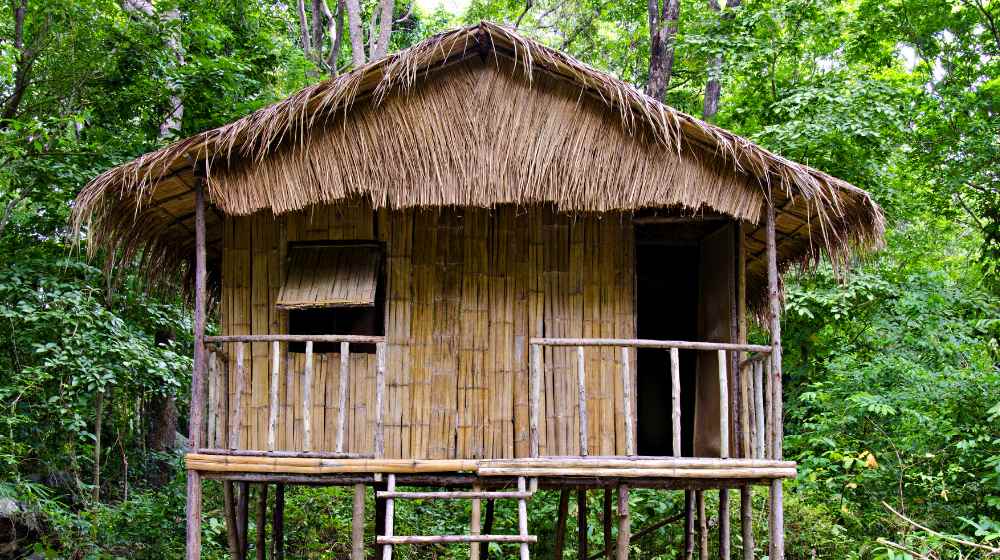 Bamboo House | How To Build A Bamboo House In The Wild