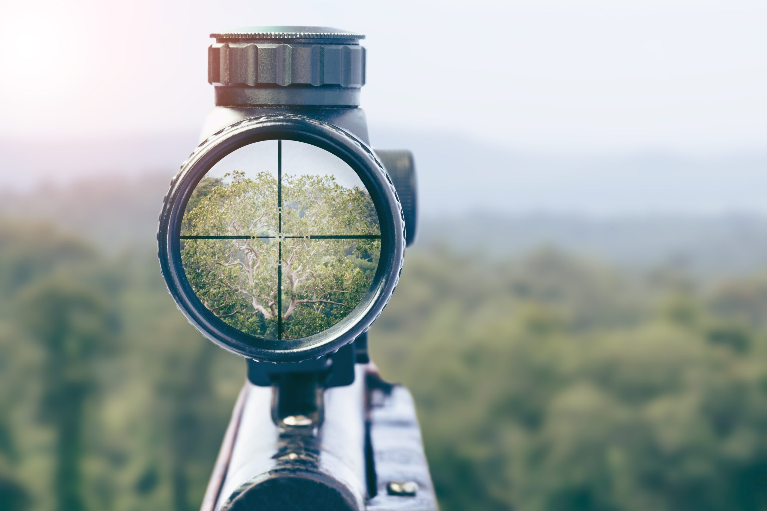 A Hunter’s Guide How to Sight in Your Scope