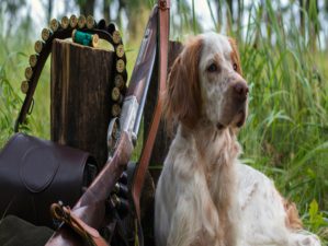 Everything You Need in Your Hunting Bag this Season